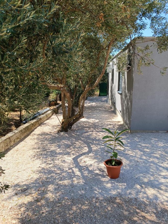 Ferienwohnung Nicol Split Exterior foto